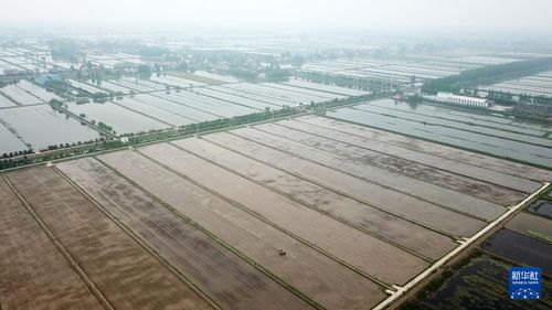 组图丨湖南益阳 无人农场智慧春耕凤凰网湖南 凤凰网