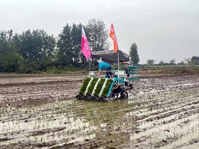 水稻插秧机实现无人驾驶 AI智能植物舱能远程控制