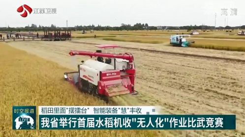 稻田里面 摆擂台 智能装备 慧 丰收 江苏省举行首届水稻机收 无人化 作业比武竞赛