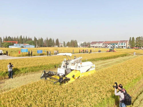 大数据 北斗导航 无人驾驶 武进的田野上, 科技范 十足