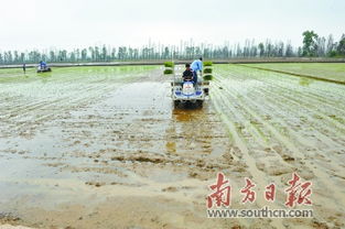 新品种新技术新装备成春耕主角